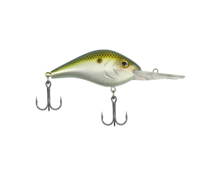 Dredger 25.5 Irish Gold