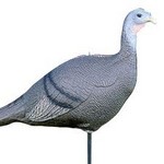 Decoy Turk Hen 3pos Colaps