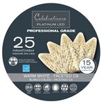 Celebrations Platinum LED C9 Clear/Warm White 25 ct String Christmas Lights 24 ft.
