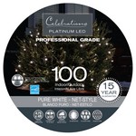 Celebrations Platinum LED Mini Pure White 100 ct Net Christmas Lights 4 ft.