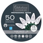 Celebrations Platinum LED C6 Pure White 50 ct String Christmas Lights 24.5 ft.