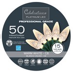 Celebrations Platinum LED C6 Clear/Warm White 50 ct String Christmas Lights 24.5 ft.