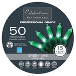 Celebrations Platinum LED Mini Green 50 ct String Christmas Lights 24.5 ft.