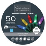 Celebrations Platinum LED Mini Multicolored 50 ct String Christmas Lights 24.5 ft.