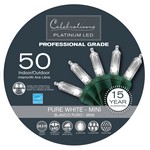 Celebrations Platinum LED Mini Pure White 50 ct String Christmas Lights 24.5 ft.