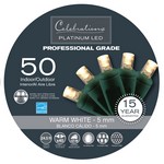 Celebrations Platinum LED Micro/5mm Clear/Warm White 50 ct String Christmas Lights 24.5 ft.