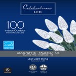 Celebrations LED C6 Cool White 100 ct String Christmas Lights 24.75 ft.