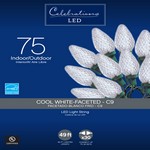 Celebrations LED C9 Cool White 75 ct String Christmas Lights 49 ft.