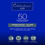 Celebrations LED G14 Globe Clear/Warm White 50 ct String Christmas Lights 16
