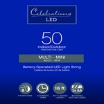Celebrations LED Mini Multicolored 50 ct String Christmas Lights 16 ft.