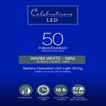 Celebrations LED Mini Clear/Warm White 50 ct String Christmas Lights 16 ft.