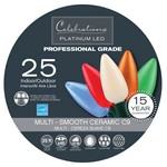 Celebrations Platinum LED C9 Multicolored 25 ct String Christmas Lights 24 ft.