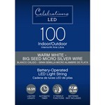 Celebrations LED Micro Dot/Fairy Clear/Warm White 60 ct String Christmas