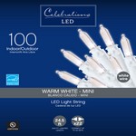 Celebrations LED Mini Clear/Warm White 100 ct String Christmas Lights 24.75 ft.