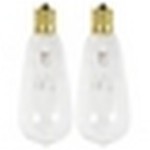 Celebrations Incandescent Vintage Clear/Warm White 2 ct Replacement Christmas Light Bulbs
