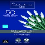 Celebrations LED Mini Cool White 50 ct String Christmas Lights 12 ft.