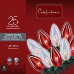 Celebrations C9 Multicolored 25 ct String Christmas Lights 24 ft.