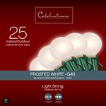 Celebrations Incandescent G40 Globe White 25 ct String Christmas Lights 24 ft.