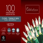 Celebrations Incandescent Mini Clear/Warm White 100 ct String Christmas Lights 20.5 in.