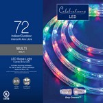 Celebrations LED Multicolored Rope Christmas Lights 9 ft.