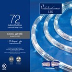 Celebrations LED Cool White Rope Christmas Lights 9 ft.