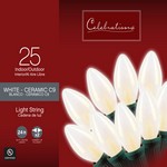 Celebrations Incandescent White 25 ct String Christmas Lights 25 ft.