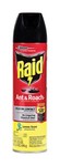 Raid Aerosol Insect Killer 17.5 oz