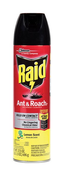 Raid Aerosol Insect Killer 17.5 oz
