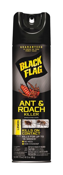 Black Flag Aerosol Ant and Roach Killer 17.5 oz
