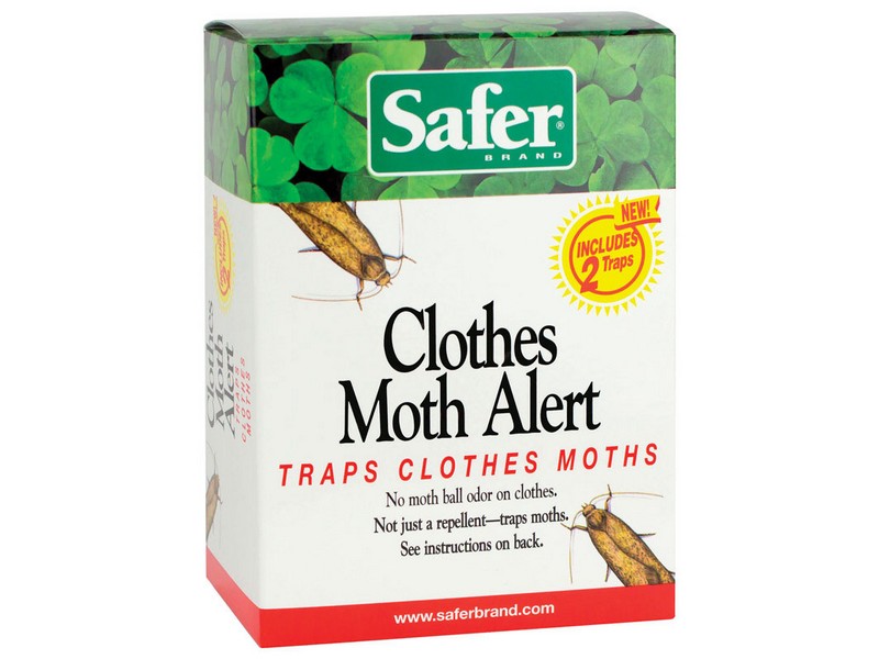 Safer Brand Glue Board 2 pk