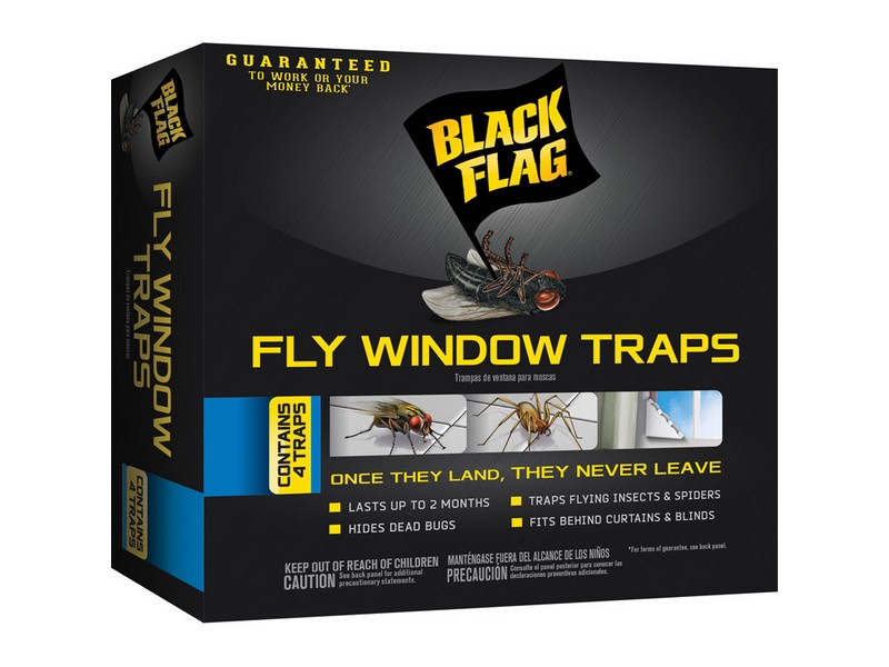 Black Flag Fly Window Trap 4 pk