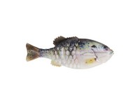 Berkley PowerBait Gilly - 110mm - Crappie