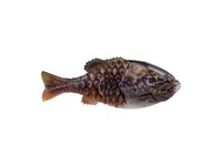 Berkley PowerBait Gilly - 130mm - Warmouth