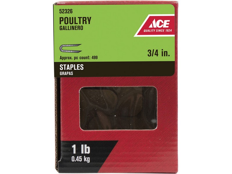 Ace .25 in. W X 3/4 in. L Galvanized Steel Poultry Staples 1 lb