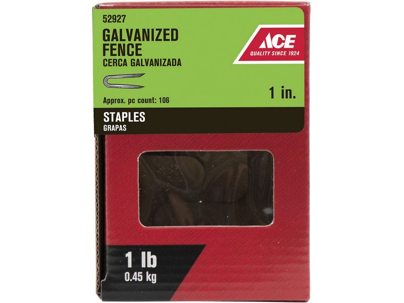 Ace 1 in. L Galvanized Steel Fence Staples 1 lb