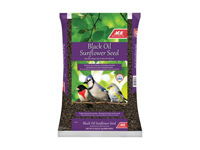 Ace Songbird Black Oil Sunflower Seed Wild Bird Food 5 lb