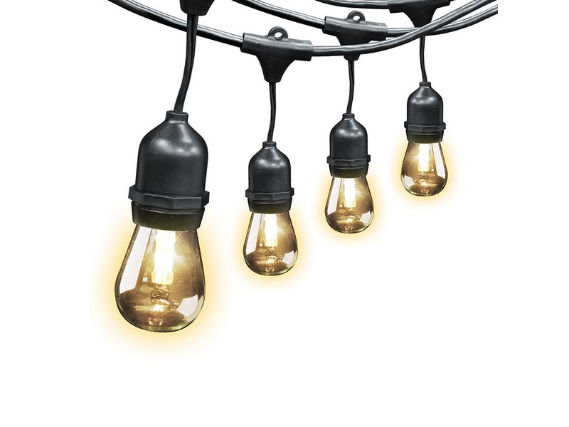Feit Electric LED Edison LED Light String Clear 20 ft. 10 lights