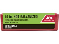 Ace 10 in. Spike Hot-Dipped Galvanized Steel Nail Diamond Head 5 lb