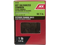 Ace 6D 2 in. Common Hot-Dipped Galvanized Steel Nail Flat Head 1 lb