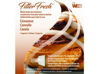 Web FilterFresh Cinnamon Scent Air Freshener 0.8 oz Gel