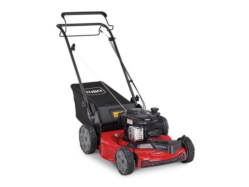 Toro Recycler 22 in. 150 cc Gas Self-Propelled Lawn Mower