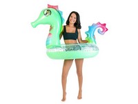 PoolCandy Seahorse Pool Tube