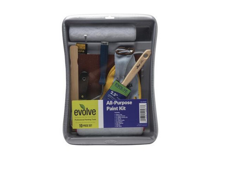 Evolve® 10 pc. All-Purpose Paint Kit