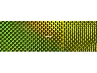 Brad's 3-pack Reflective Tape 2"Width 6" Length Chartreuse Prism