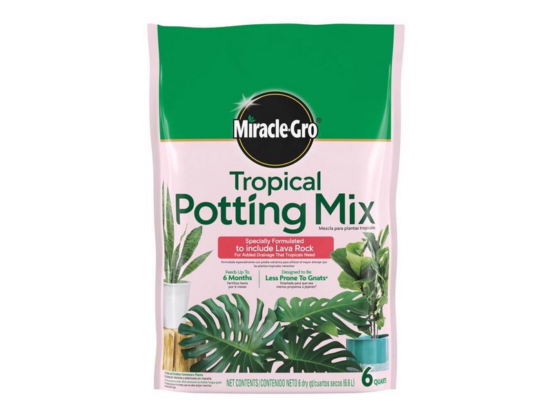 Miracle-Gro Tropical Cacti, Citrus and Palm Potting Mix 6 qt