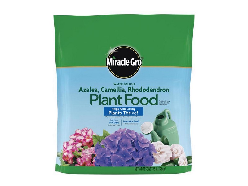 Miracle-Gro Powder Azalea, Camellia, Rhododendron Plant Food 5 lb