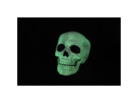 Seasons Crazy Bones Glow in the Dark Halloween Decor