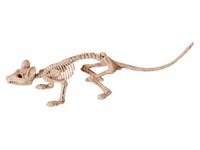 Seasons Skeleton Asst Halloween Decor