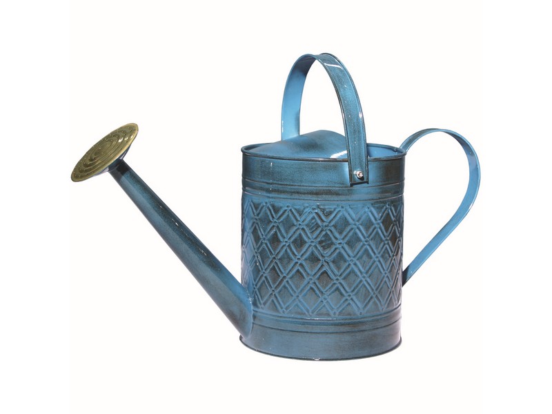 Robert Allen Mountain Waves 2 gal Metal Wexley Watering Can