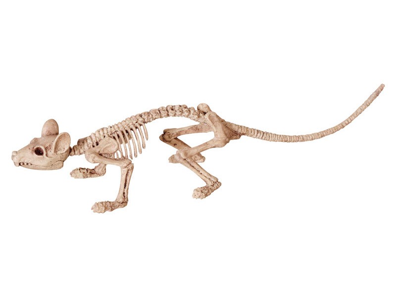 Seasons Skeleton Asst Halloween Decor